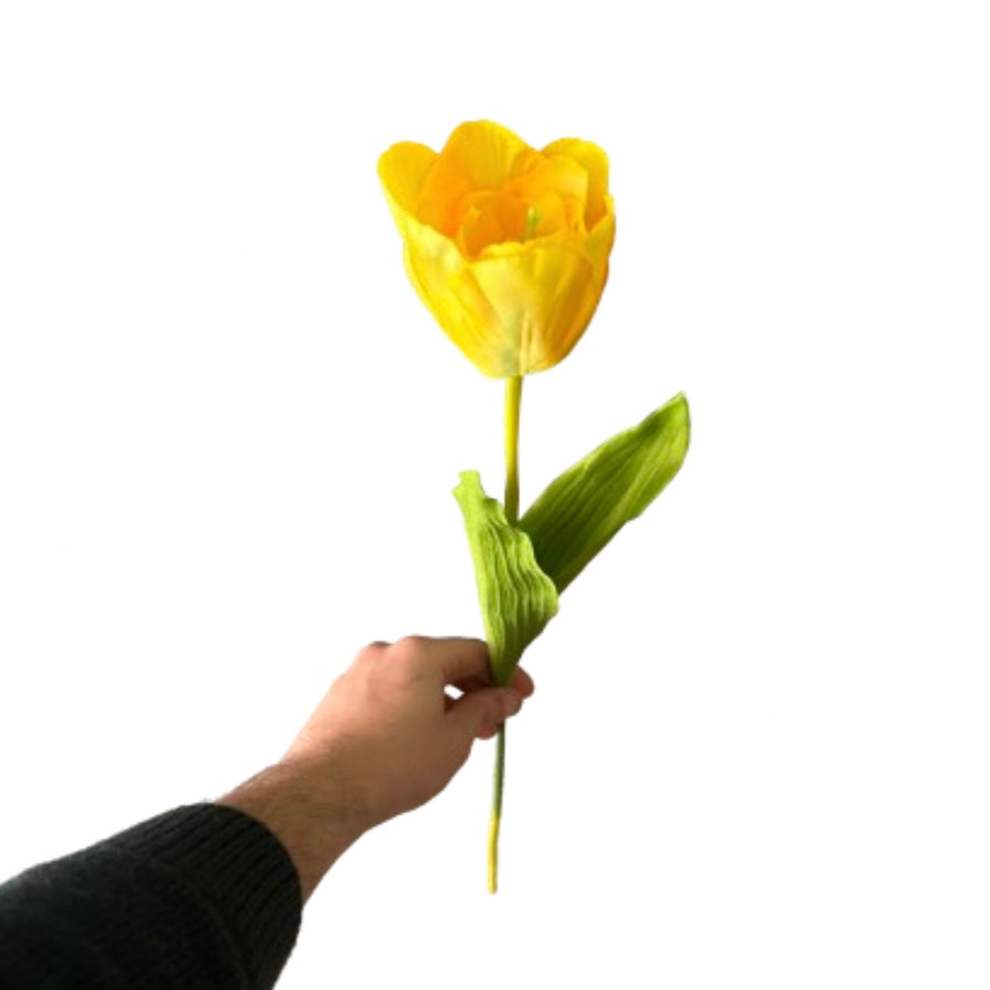 Tulipano singolo - Mamà Lah