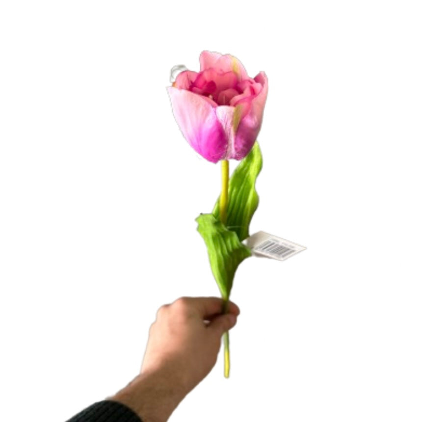 Tulipano singolo - Mamà Lah